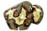 Calcite Crystal Filled, Polished Septarian Buffalo - Utah #167869-2